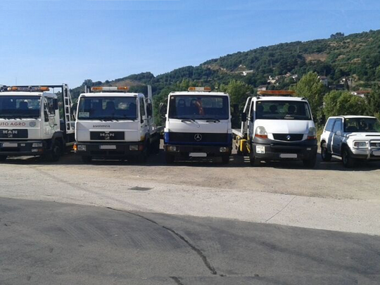 Grúas Auto-Agro flota gruas